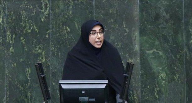 اعتراض نماینده دیر به اختصاص درآمد ناشی از عوارض آلایندگی اعتراض نماینده دیر به اختصاص درآمد ناشی از عوارض آلایندگی عسلویه به سایر شهرستانها
