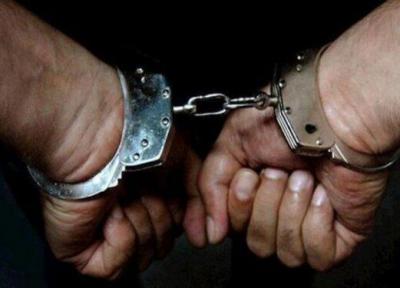 چهار غارتگر میراث فرهنگی در دهگلان دستگیر شدند