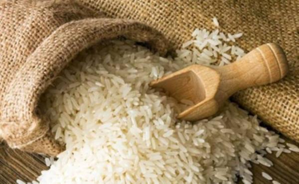 معرفی برنج و خواص درمانی آن